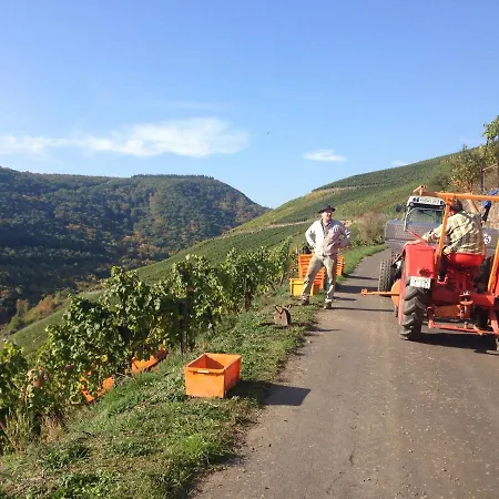 Rhine Pearl Hideaways