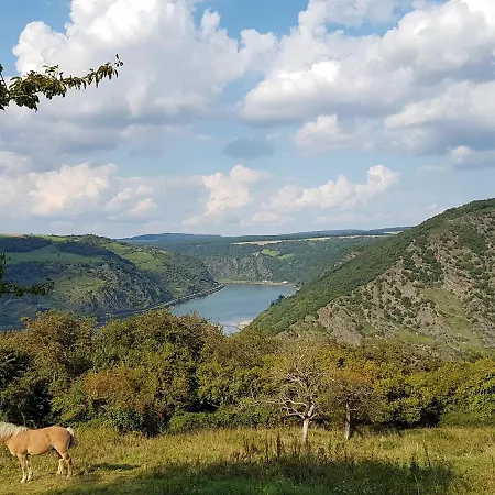Rhine Pearl Hideaways Oberwesel