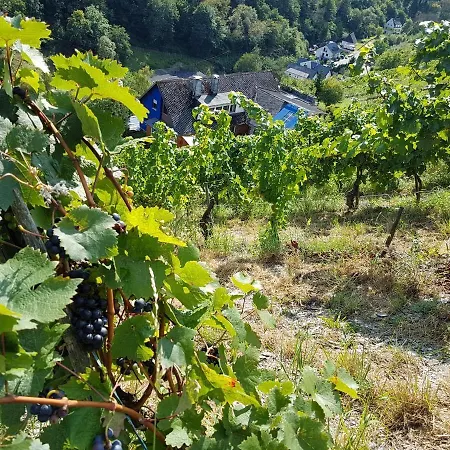 Rhine Pearl Hideaways 아파트 오베르베셀