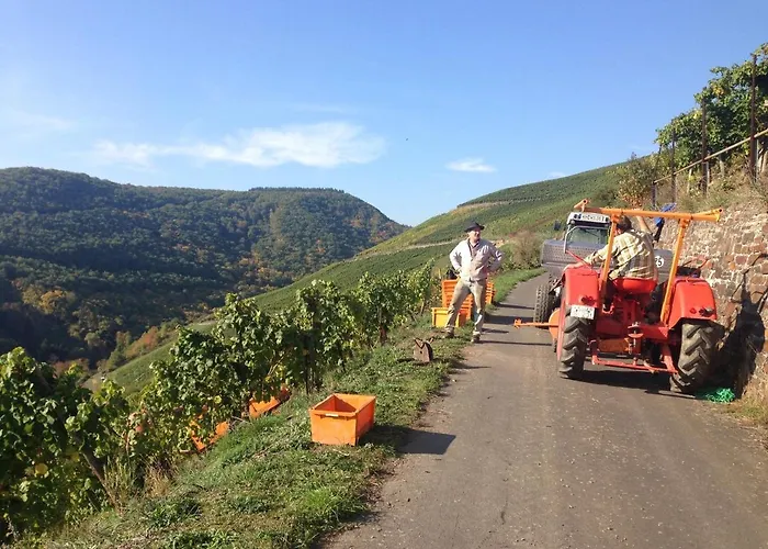 Rhine Pearl Hideaways