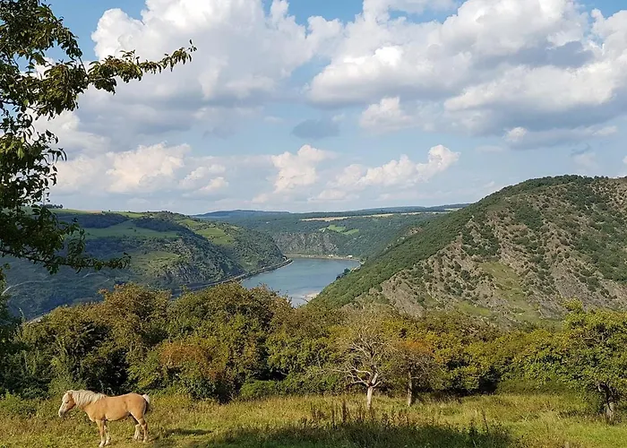 Rhine Pearl Hideaways Oberwesel