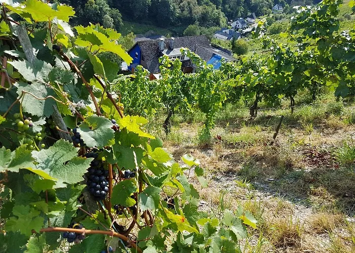 Rhine Pearl Hideaways Lägenhet Oberwesel